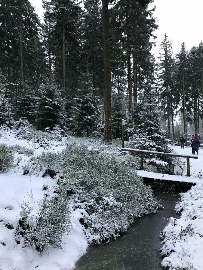 Hahnenklee Ferienpark 7-511 Goslar Esterno foto