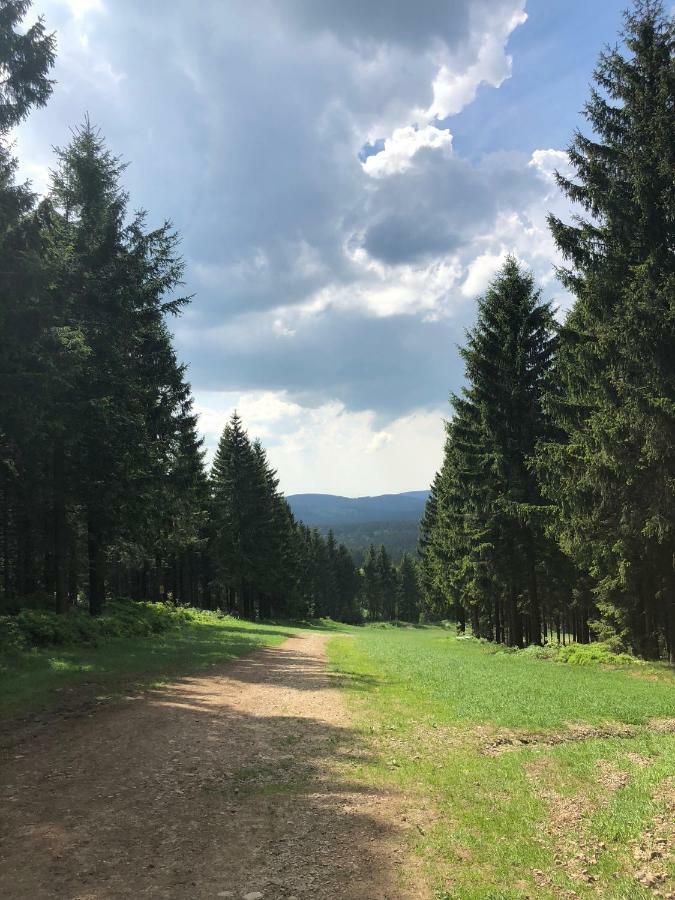 Hahnenklee Ferienpark 7-511 Goslar Esterno foto