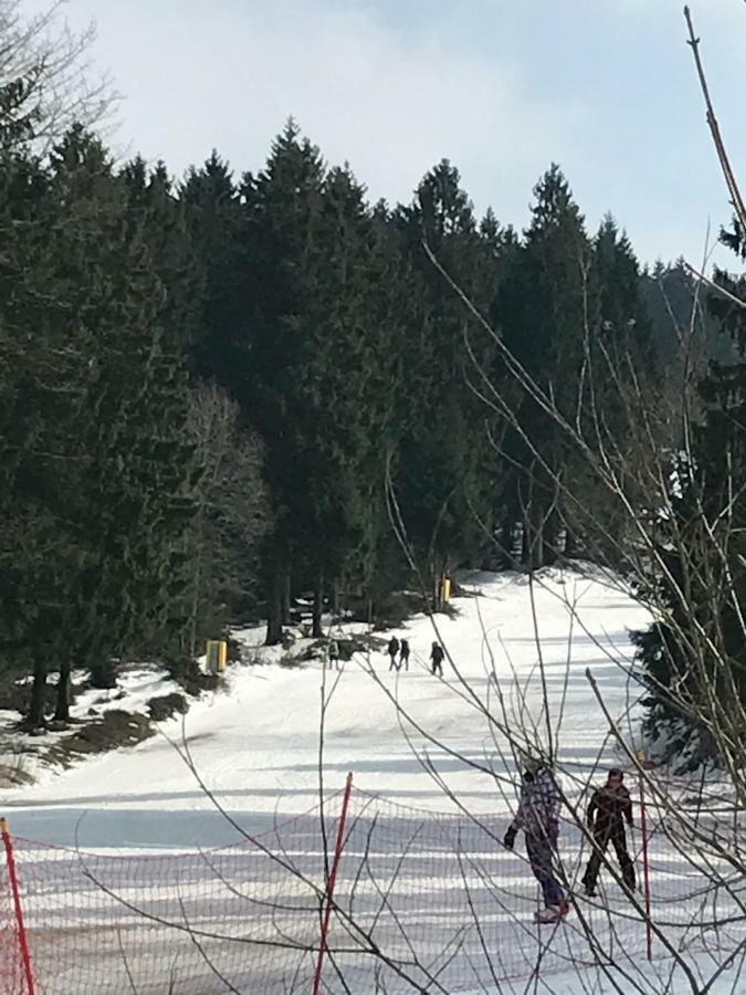 Hahnenklee Ferienpark 7-511 Goslar Esterno foto